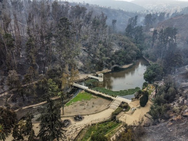 Incendio Jardín Botánico