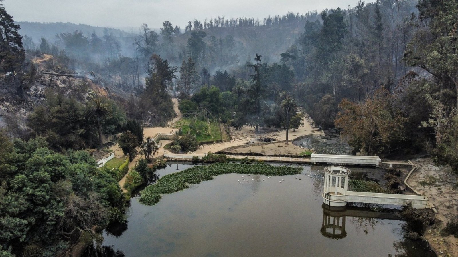 Detenidos en jardín botánico.