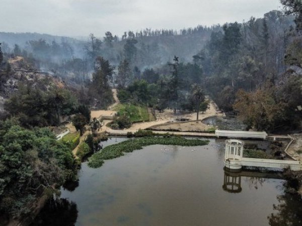 Detenidos en jardín botánico.