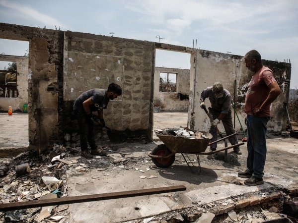 Bono de recuperación por incendios forestales de Valparaíso.
