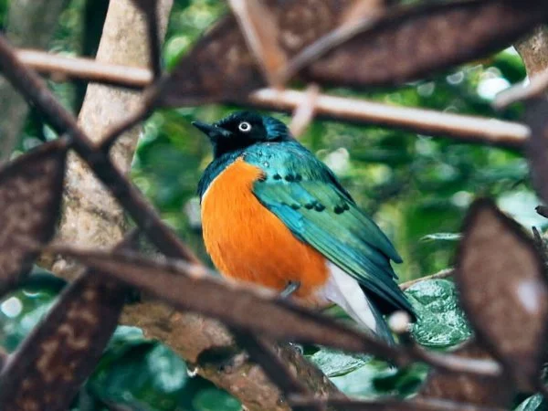 Parque Tricao: en busca de 