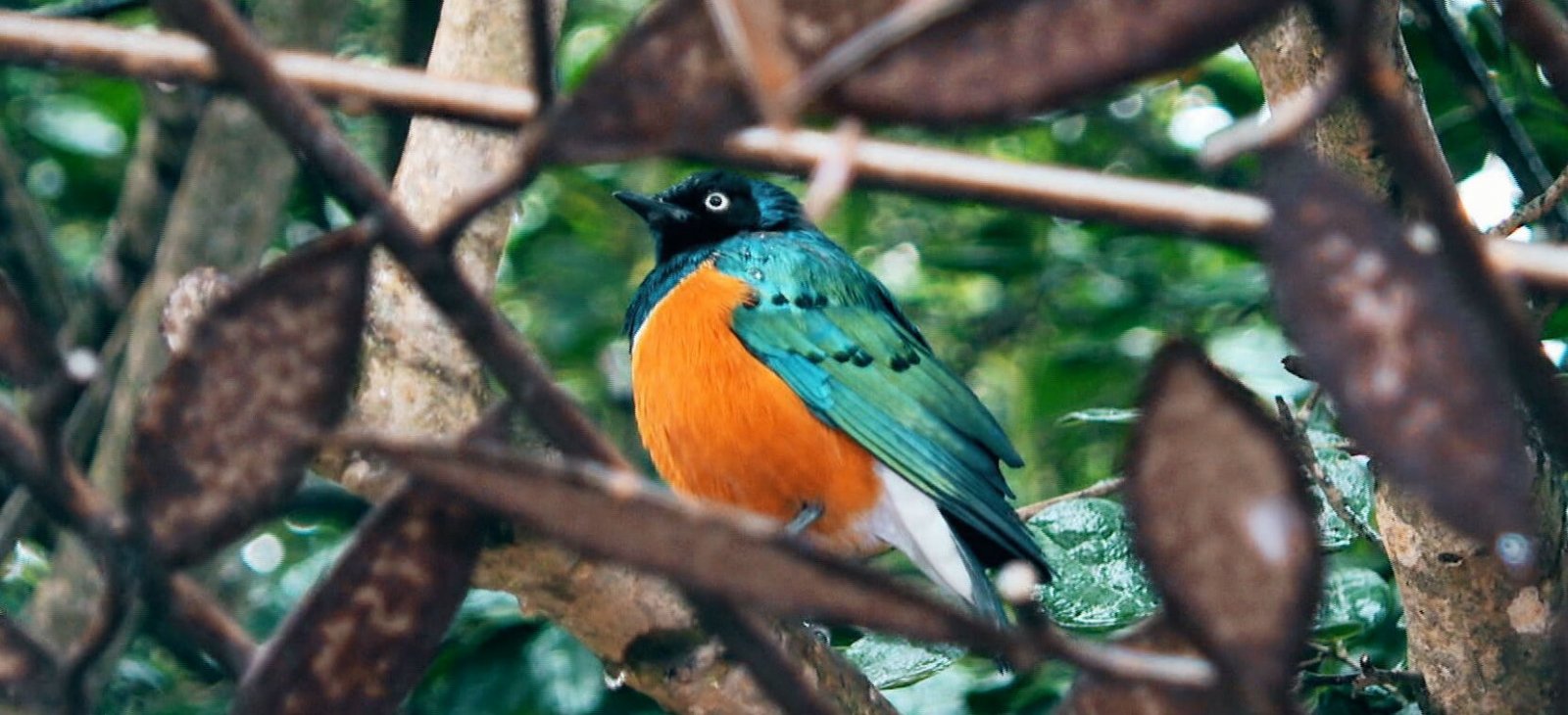 Parque Tricao: en busca de 