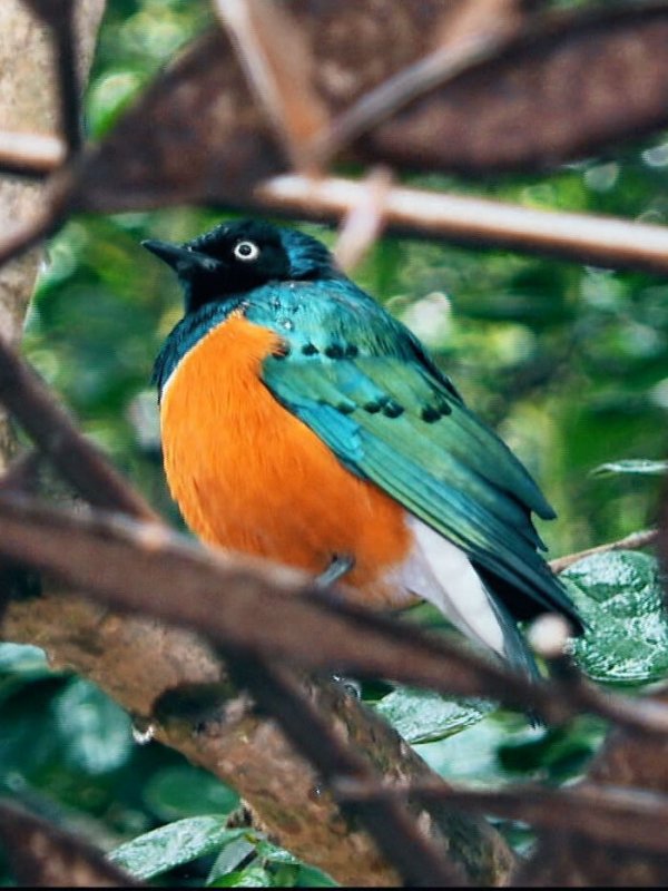 Parque Tricao: en busca de 