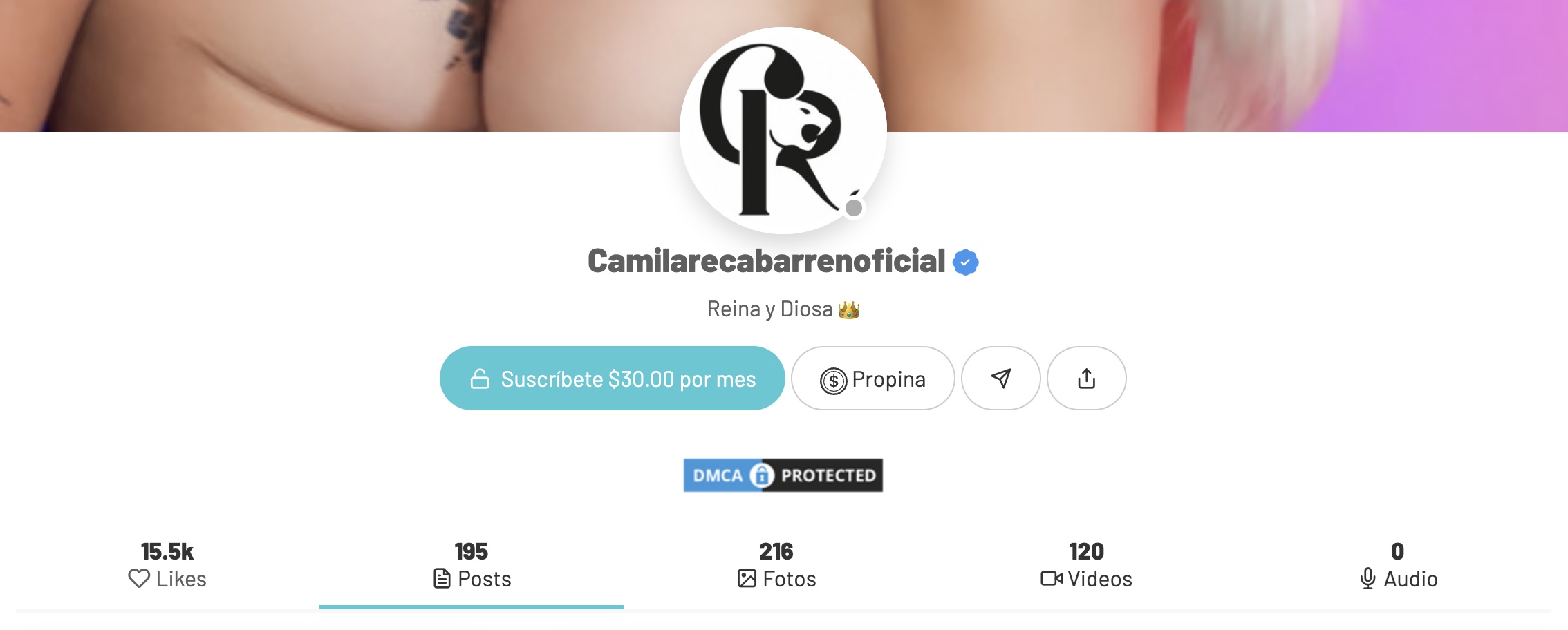 Camila recabarren arsmate