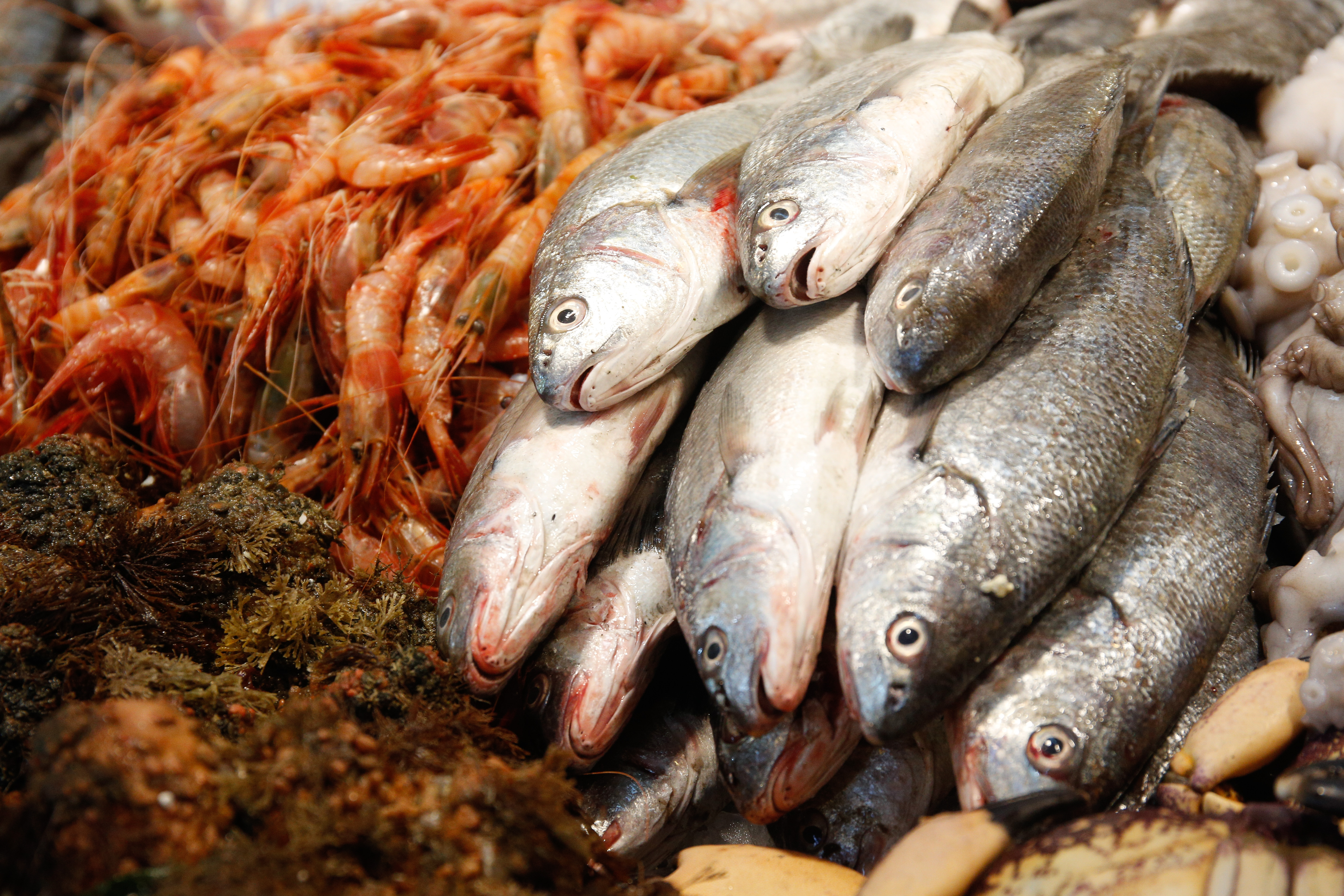 Pescados y mariscos en Semana santa.