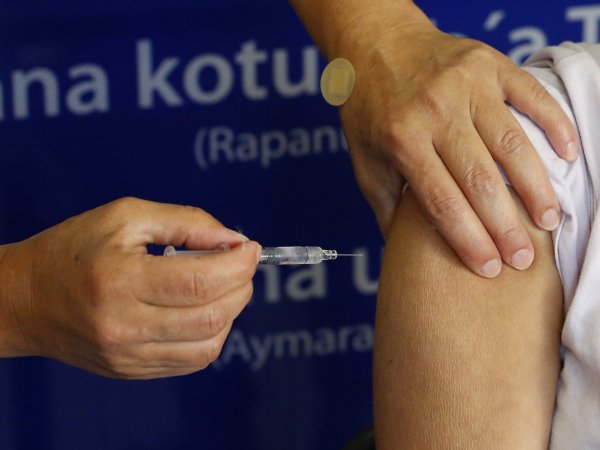 Vacuna influenza 2024.