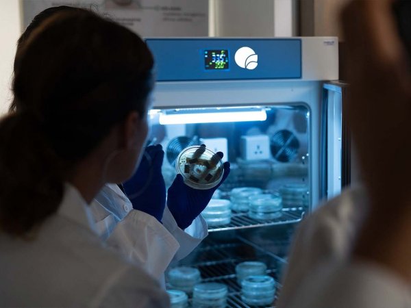 Bioelements, Chile, 2024.