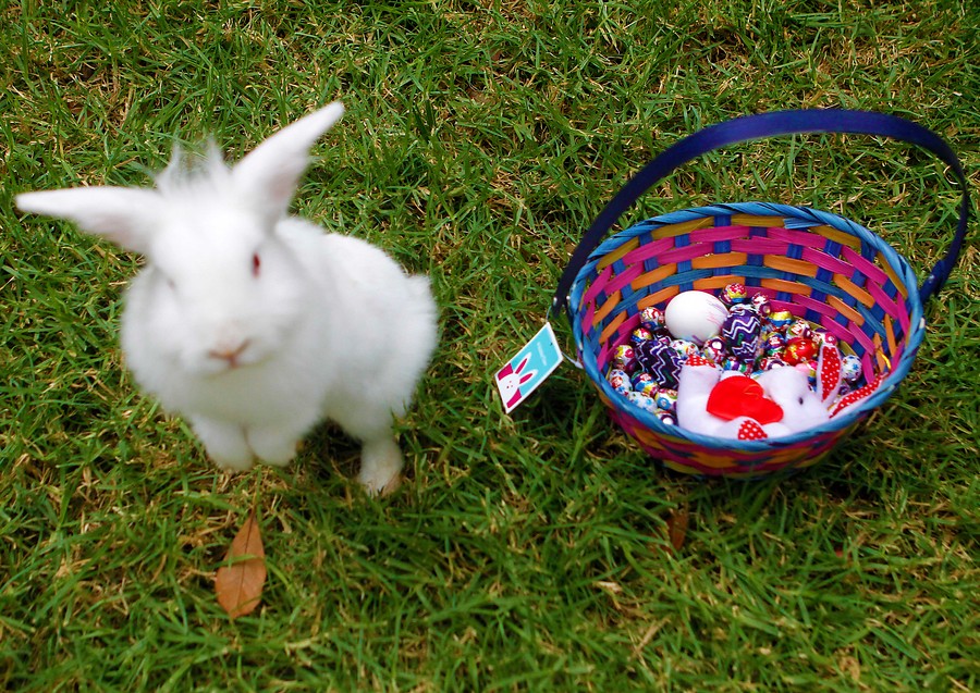 Huevos de Pascua.