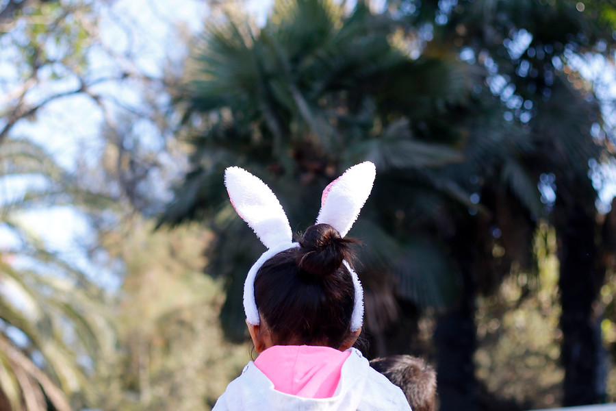 Pascua y semana santa.