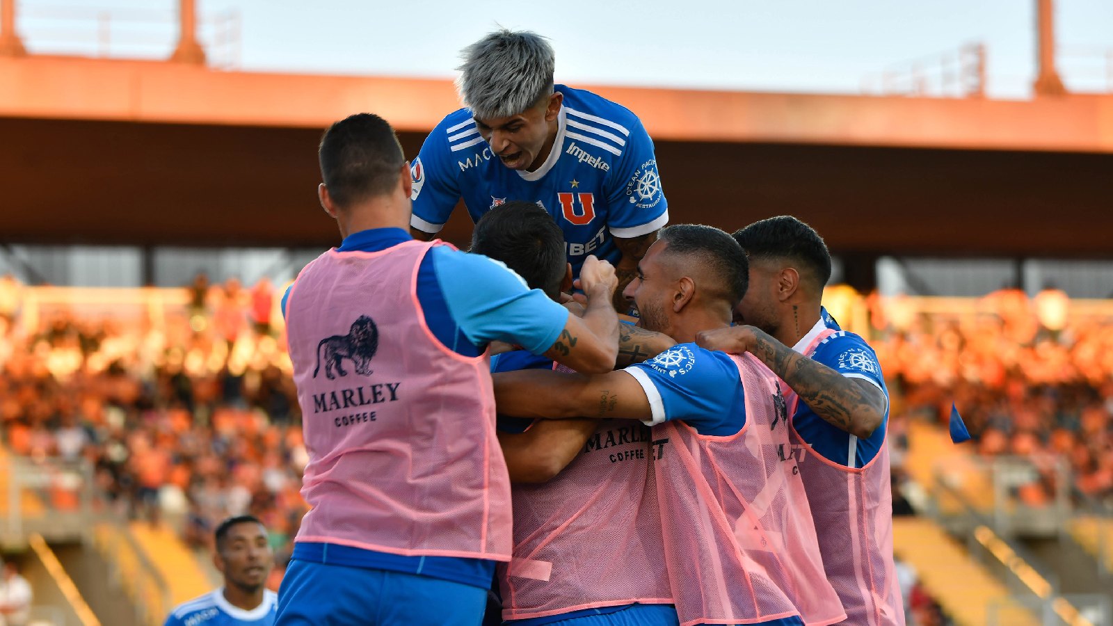 Universidad de Chile