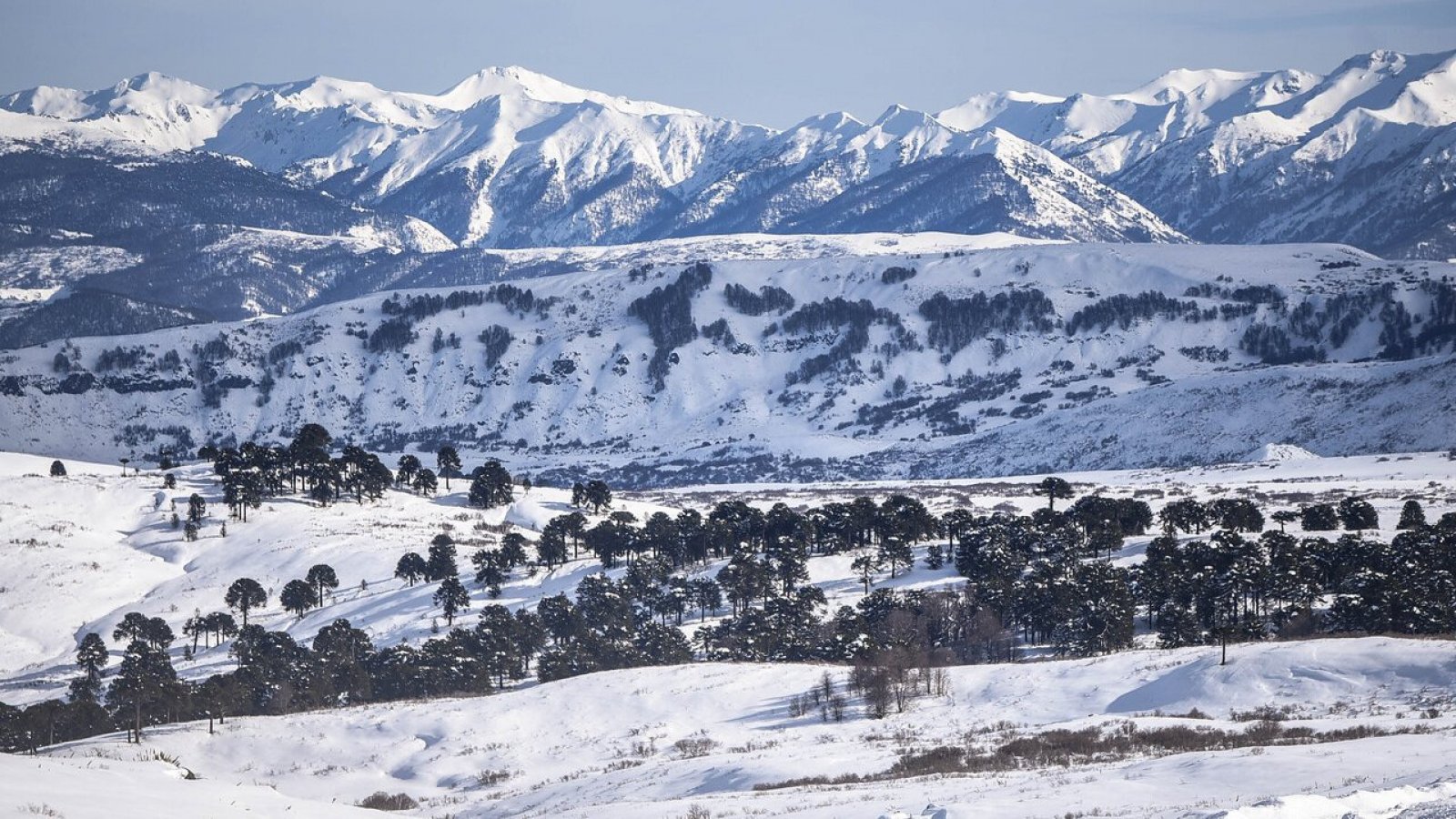 Nieve. Pronóstico de Meteorología