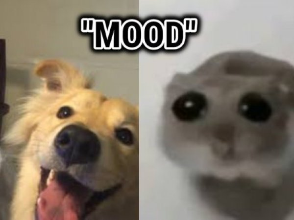 Qué significa mood o “in the mood”