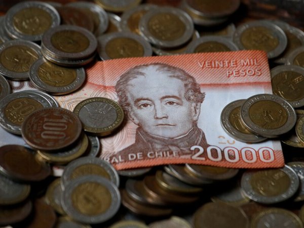 Bono Invierno 2024. Billetes