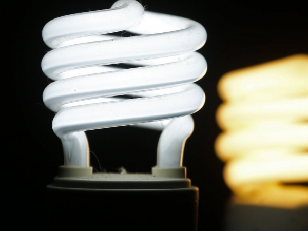 Subsidio de luz 2024