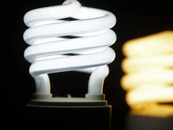 Subsidio de luz 2024