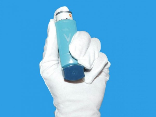 Asma grave, Chile, 2024.