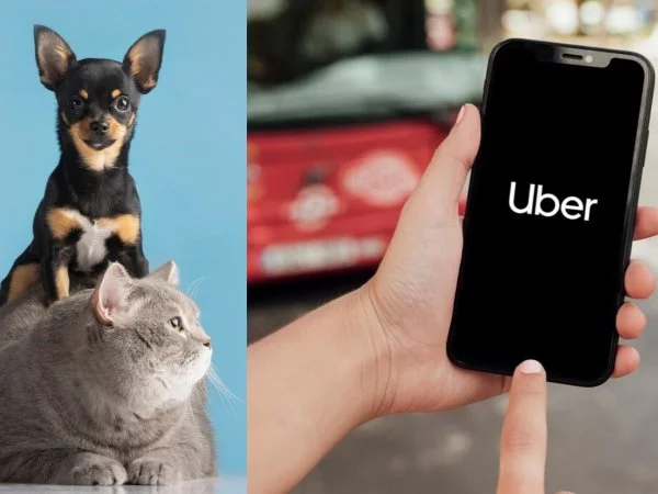 Uber Pet. Uber Chile. Mascotas