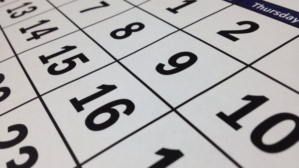 Calendario. Feriados Chile 2024.