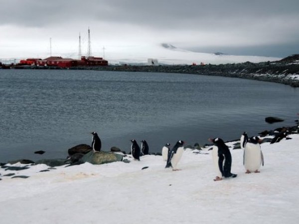 Rusia halla reservas de petróleo en territorio antártico chileno
