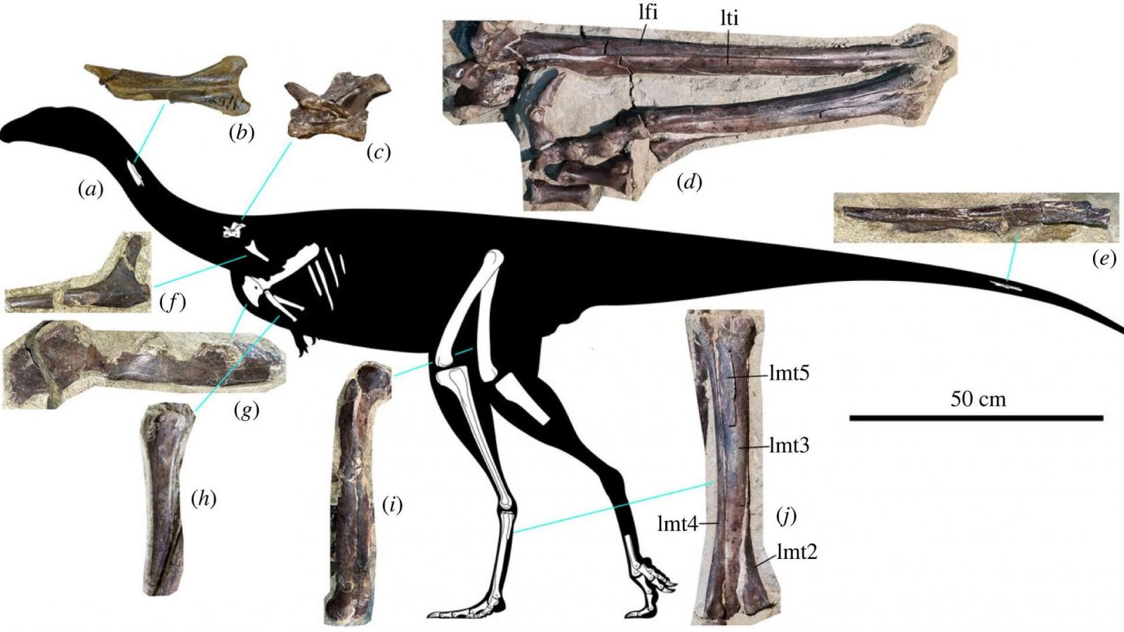 Dinosaurio