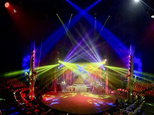 Circo