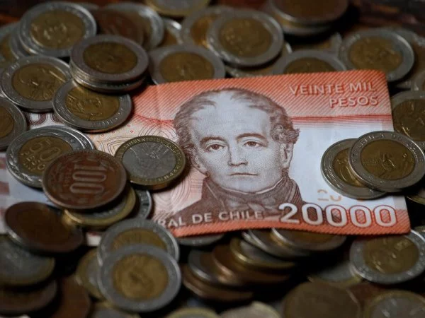 Bono Invierno 2024. Billetes