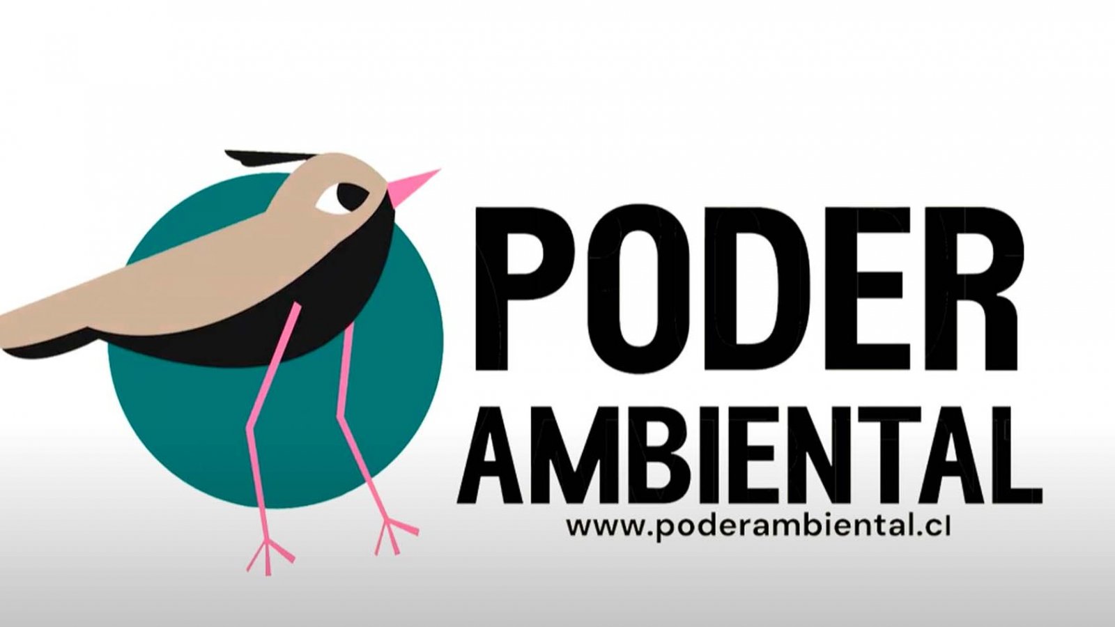 Web de Poder Ambienta, Chile, 2024.