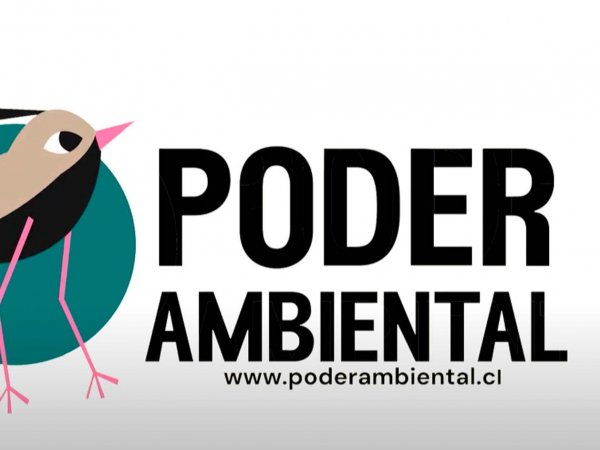 Web de Poder Ambienta, Chile, 2024.