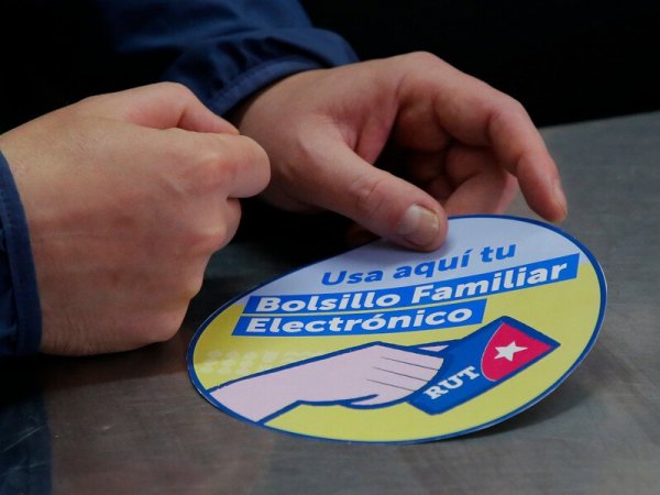 Bolsillo Familiar Electrónico 2024.