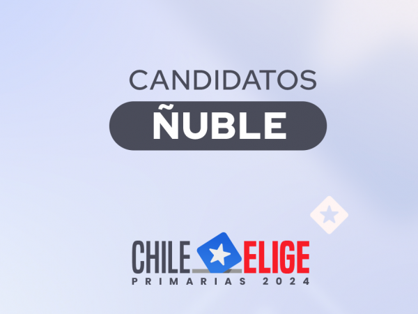 Candidatos región de Ñuble en primarias 2024