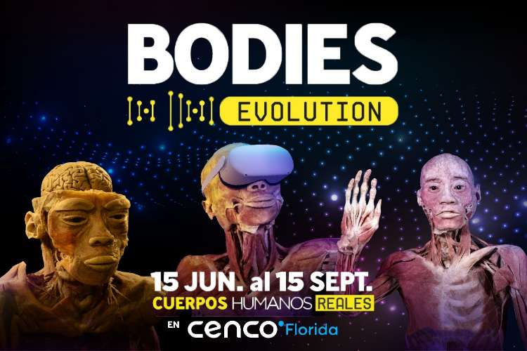 Expo BODIES EVOLUTION