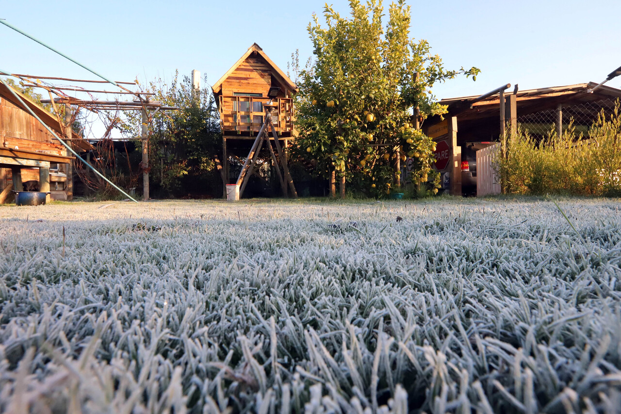 Invierno. Frío.