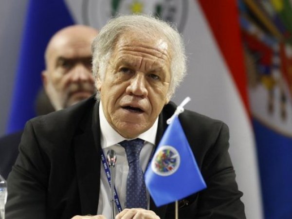 OEA asegura que 