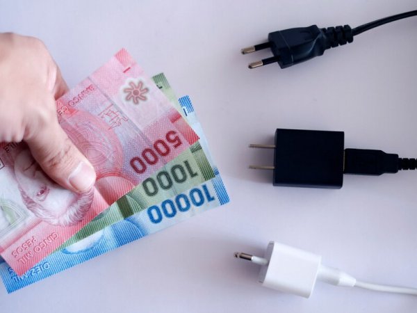 Subsidio de la luz. Subsidio Eléctrico. Billetes.