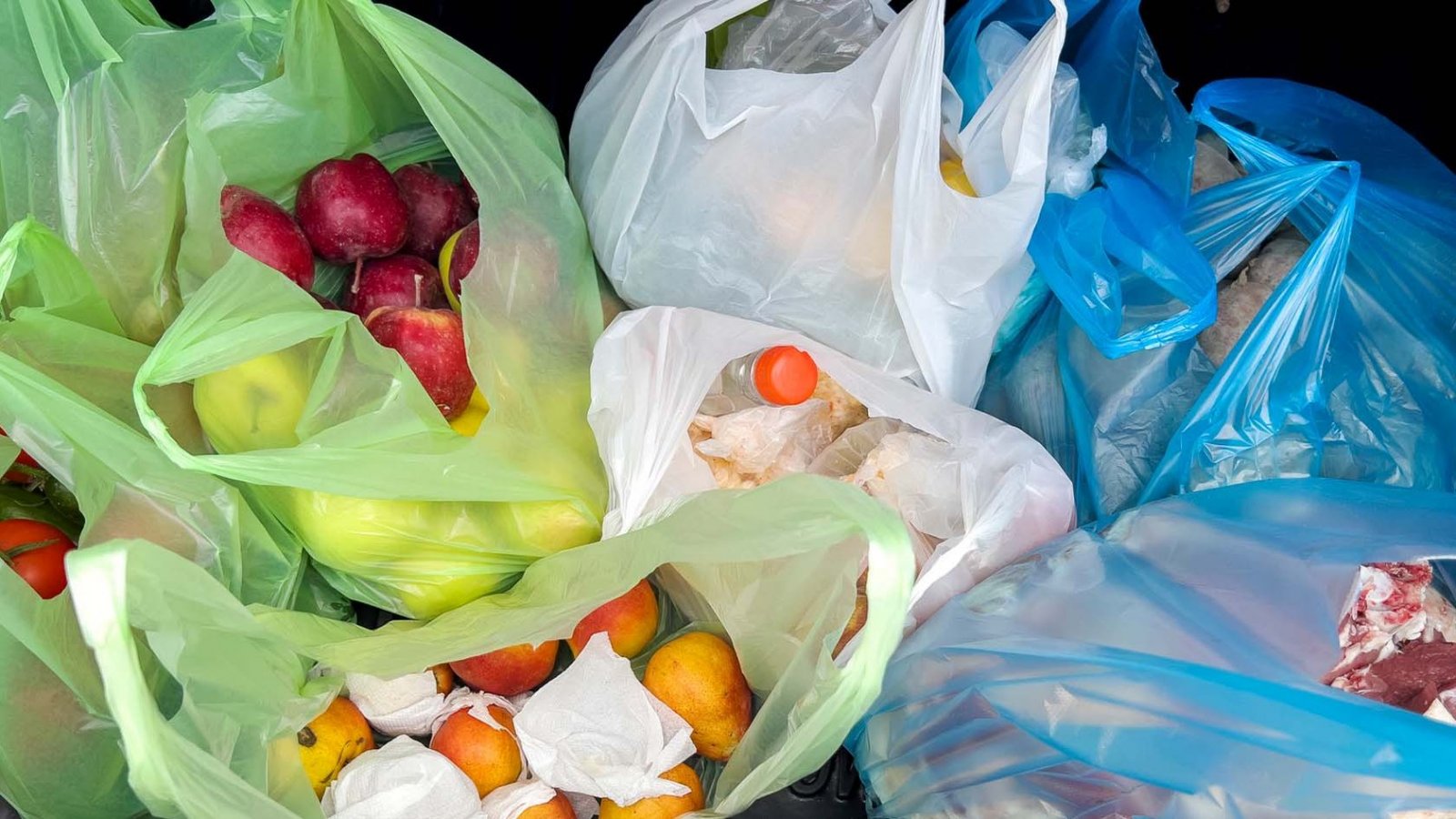 Bolsas de plástico. Chile, 2024.