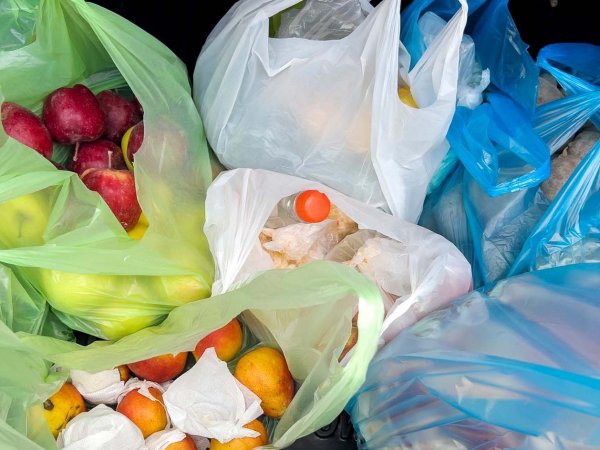 Bolsas de plástico. Chile, 2024.