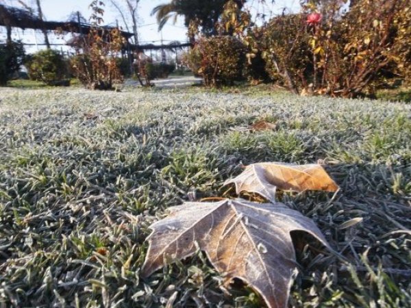 Frío, heladas y bajas temperaturas.