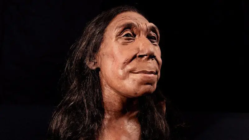 Un equipo de científicos llevó a cabo una notable reconstrucción de cómo habría sido una mujer neandertal en vida.