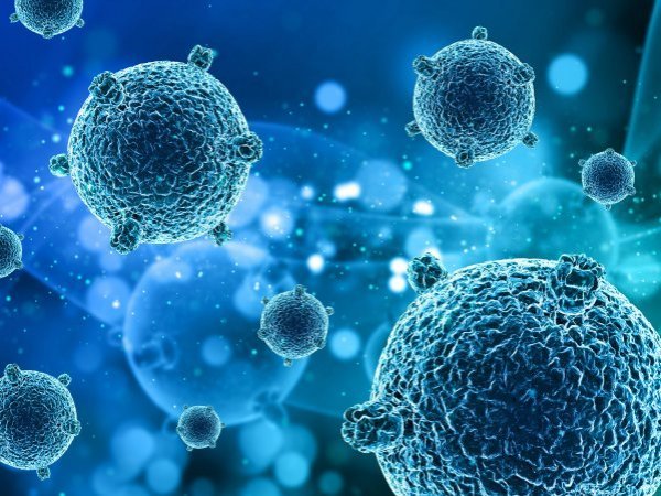 Virus y bacterias durante una ola de frío.