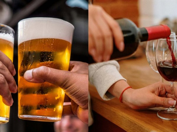 Personas participando en un taller práctico de elaboración de vino y cerveza en un laboratorio. Chile, 2024.