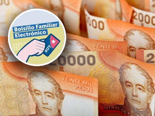 Bolsillo Familiar Electrónico 2024. Billetes.