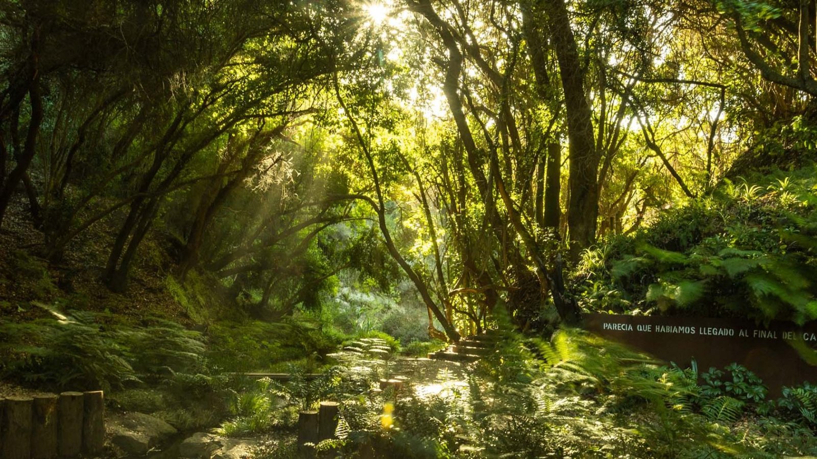 Vista panorámica del Parque Tricao con sus senderos y áreas verdes, premiado por Tripadvisor en 2024.