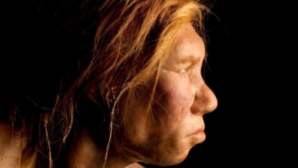 Neanderthal
