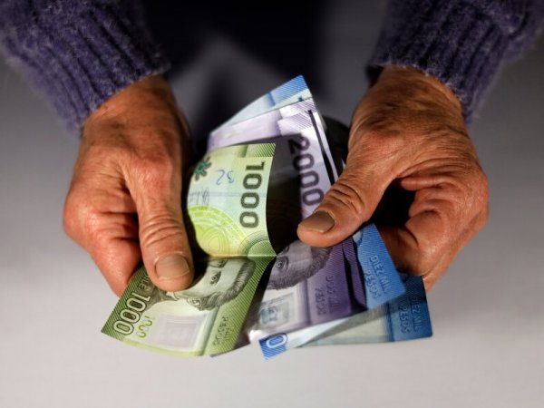 Dinero. Bolsillo Familiar Electrónico.