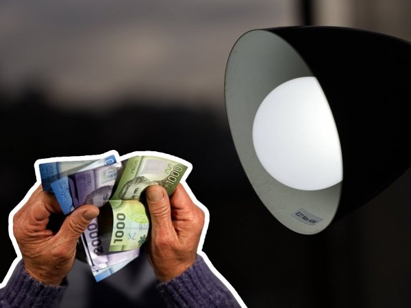 Bolsillo Familiar Electrónico 2024. Billetes. Cuenta de la luz.