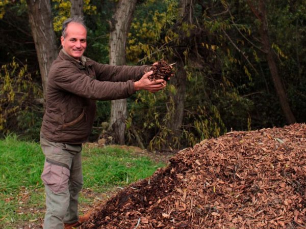 Vista del Jardín Botánico de Viña del Mar con chips de quillay regenerando el suelo tras el incendio. Chile, 2024.