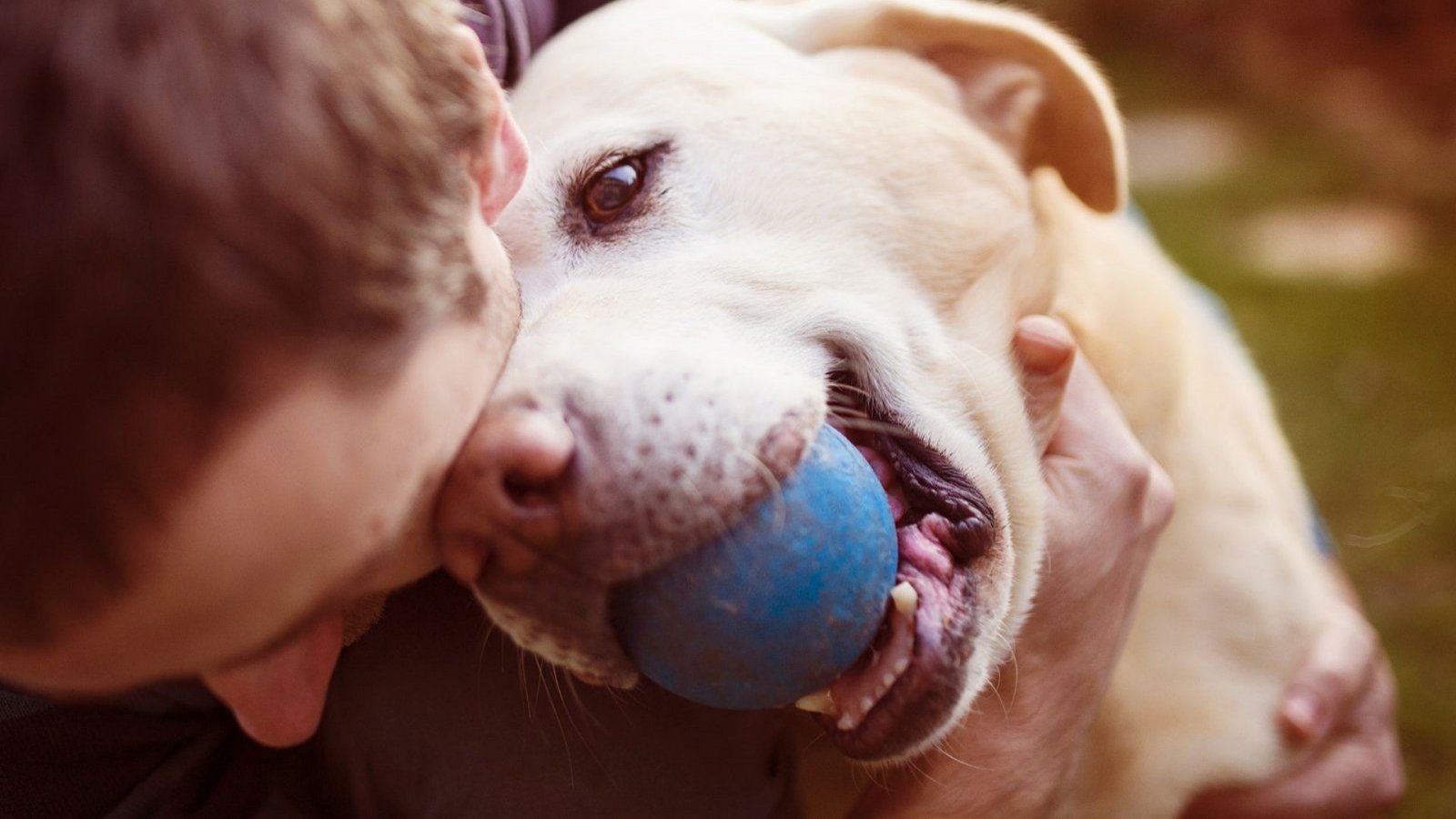 La investigación conducida por miembros de la Universidad de Bristol buscó estudiar los efectos del estrés humano en el comportamiento canino