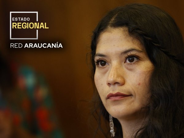 Diputada Ericka Ñanco