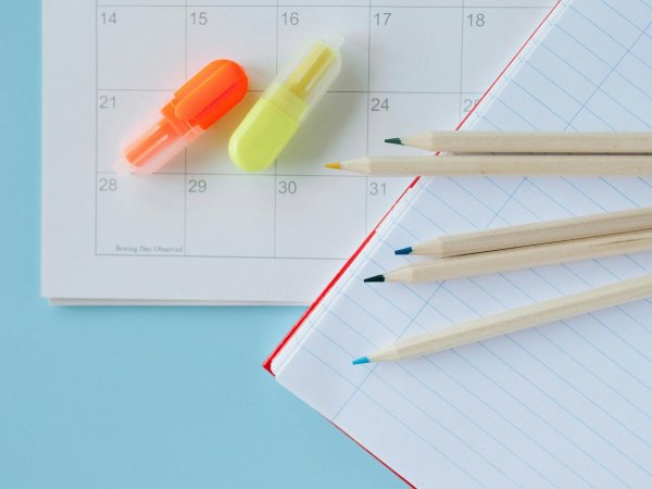 Calendario. Feriados Chile 2024. Feriados agosto