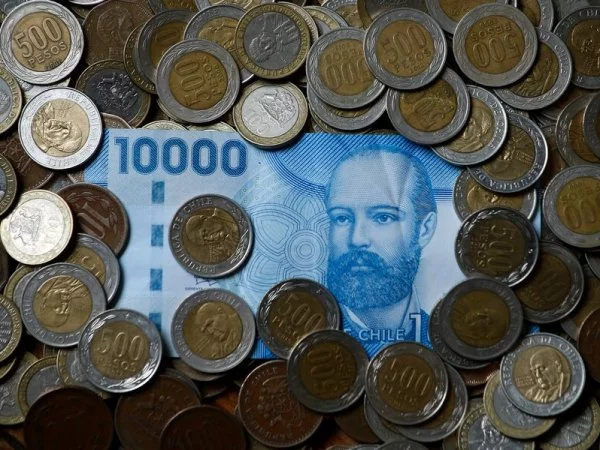 Bolsillo Familiar Electrónico agosto 2024. Billetes y monedas.